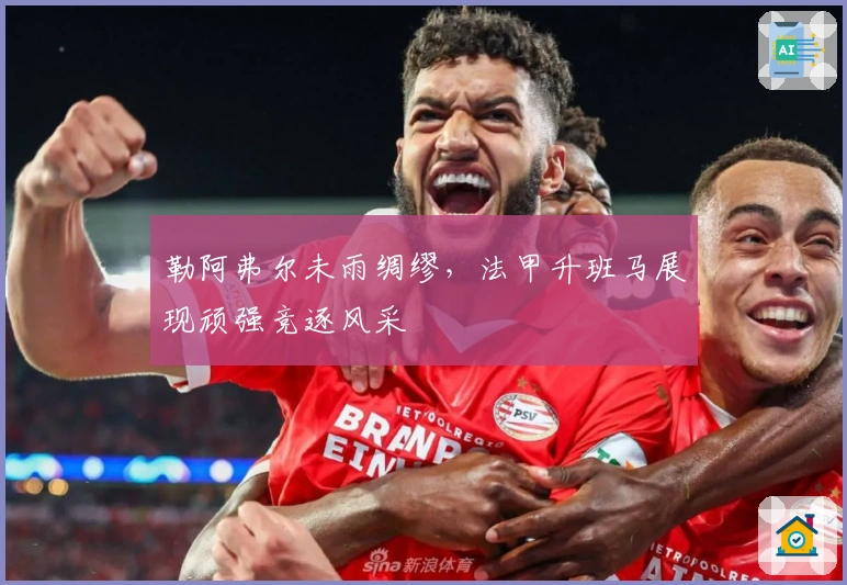 勒阿弗尔未雨绸缪，法甲升班马展现顽强竞逐风采